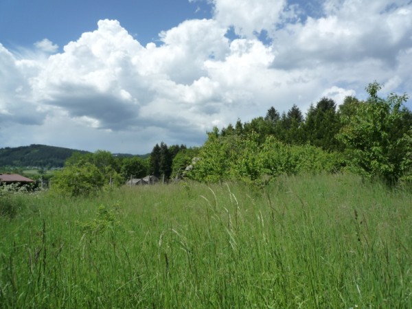 Meymac : vente vente  - grande image 1
