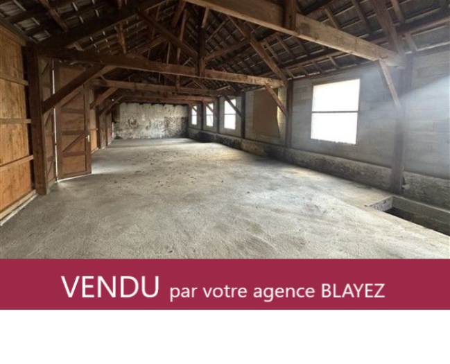 TULLE : vente vente  - grande image 1