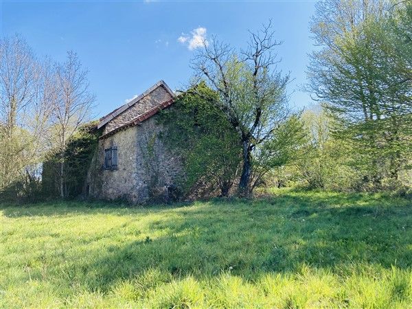 ENTRE TULLE ET NAVES : vente vente de 2 pièces - grande image 1