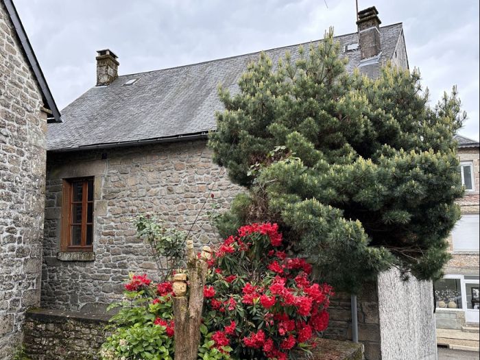 Peyrelevade, Centre Bourg : vente vente  - grande image 2