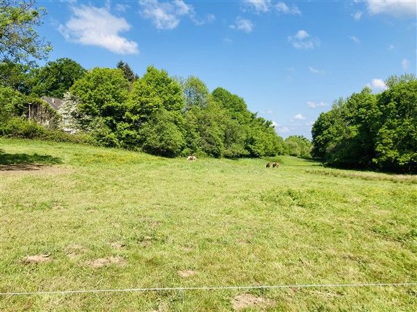 ENTRE TULLE ET SAINTE FORTUNADE : vente vente  - grande image 1